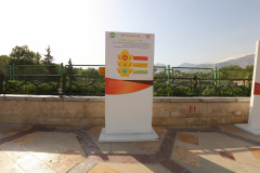 بزرگداشت روز جهانی قلب در پارک ملت تهران